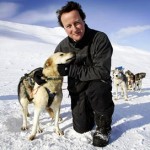 david-cameron-husky
